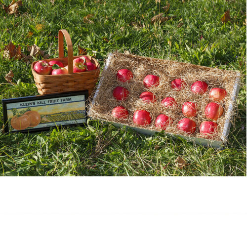 Fuji Apple 25 Count Gift Box