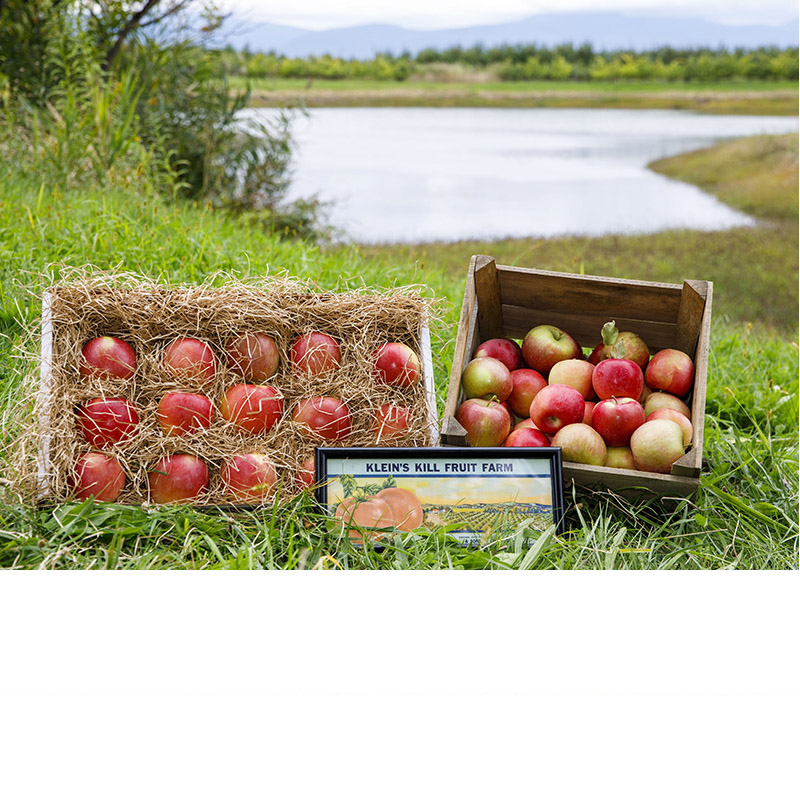 Honeycrisp Bushel Box - Klein's Kill Fruit Farms